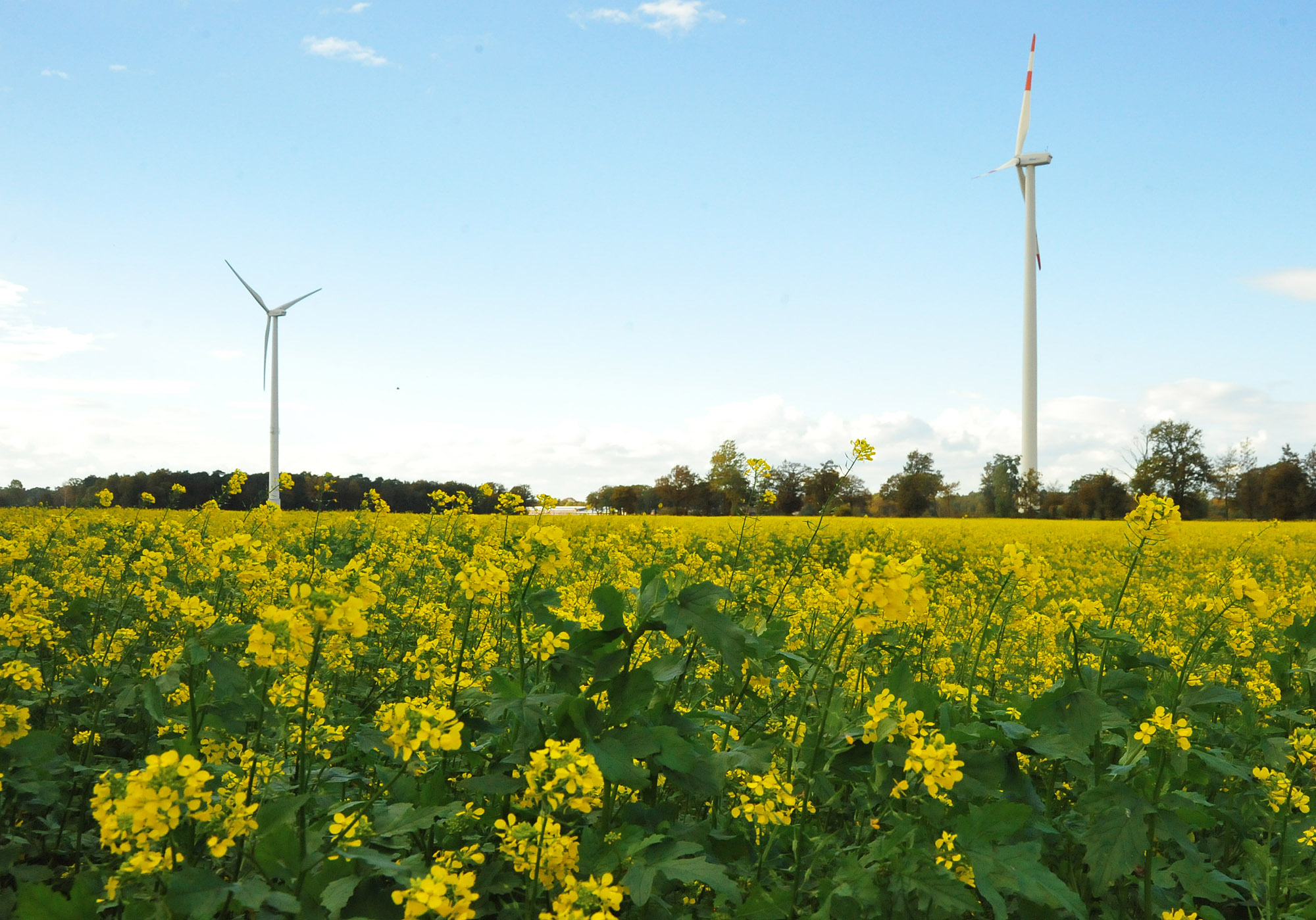 Grüner Wasserstoff für die kommunale Energiewende
