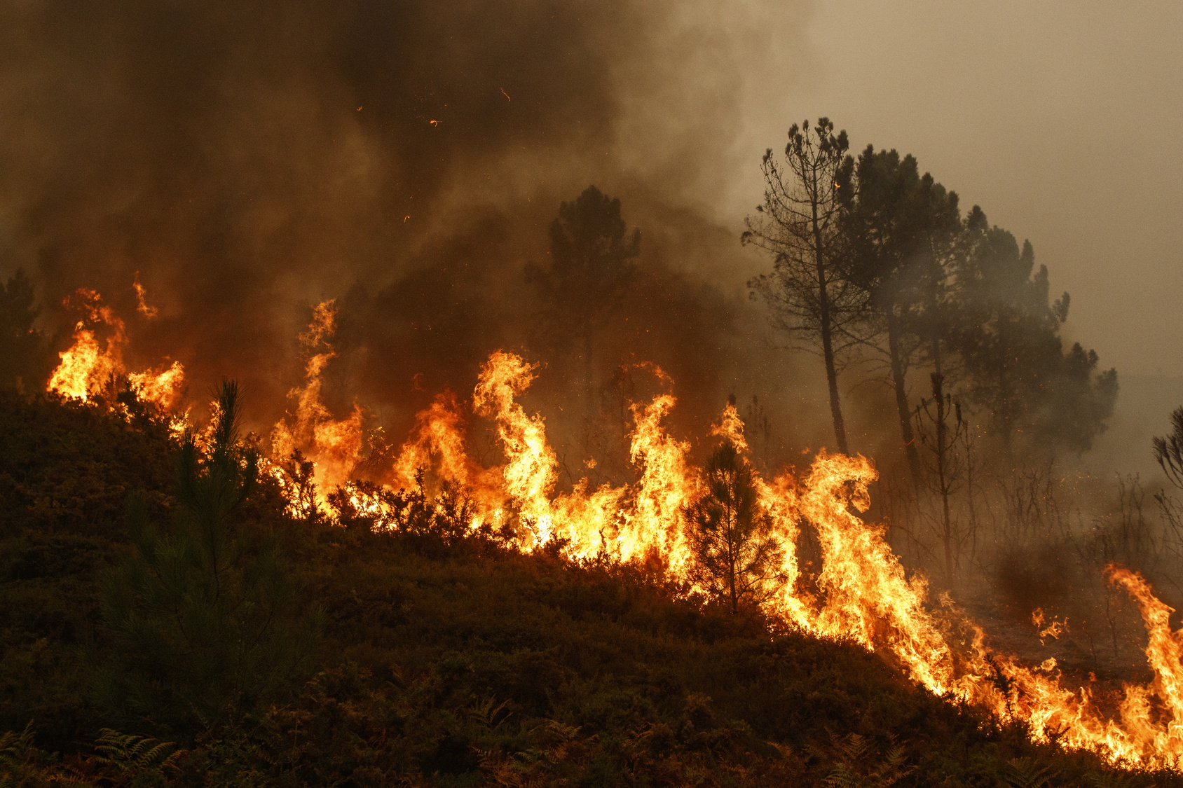 Feuerwehr muss für Waldbrände ausgerüstet werden
