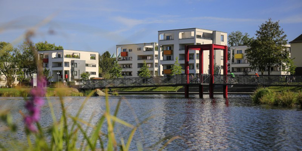 Vorzeigeprojekt: Niedefeldsee in Essen