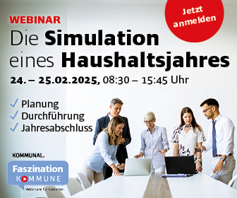 Webinar zum Thema Simulation eines Haushaltsjahres