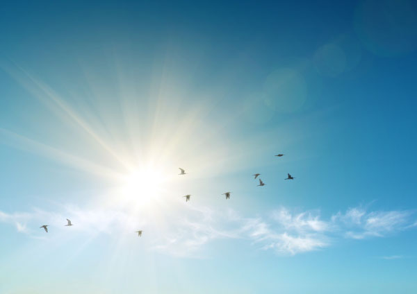 Sonne blauer Himmel