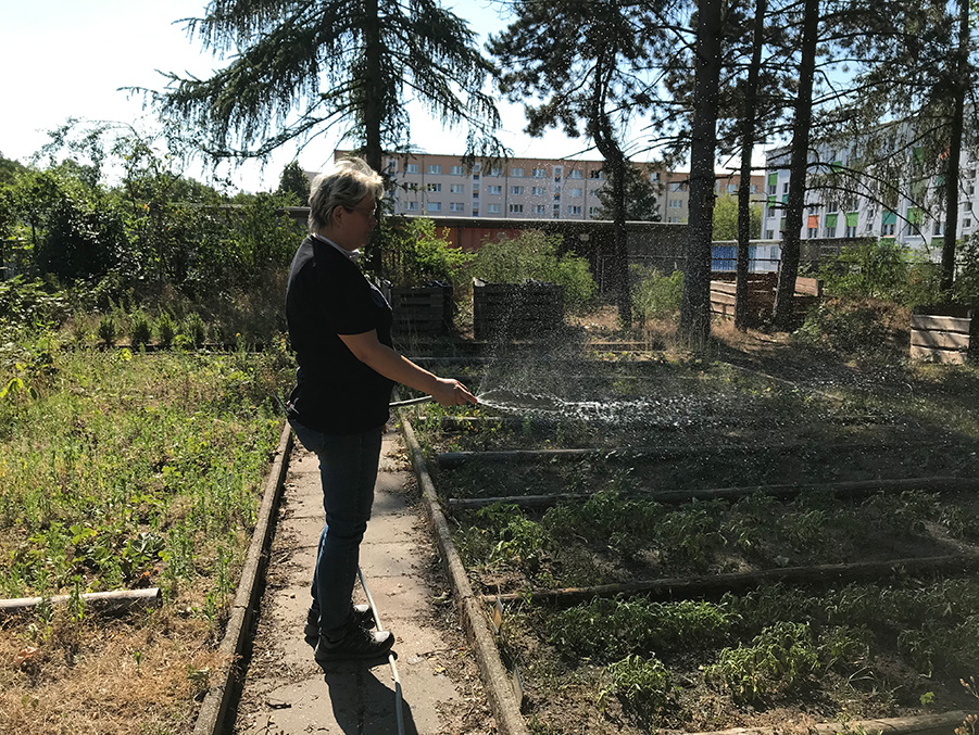 Schulhausmeisterin im Schulgarten
