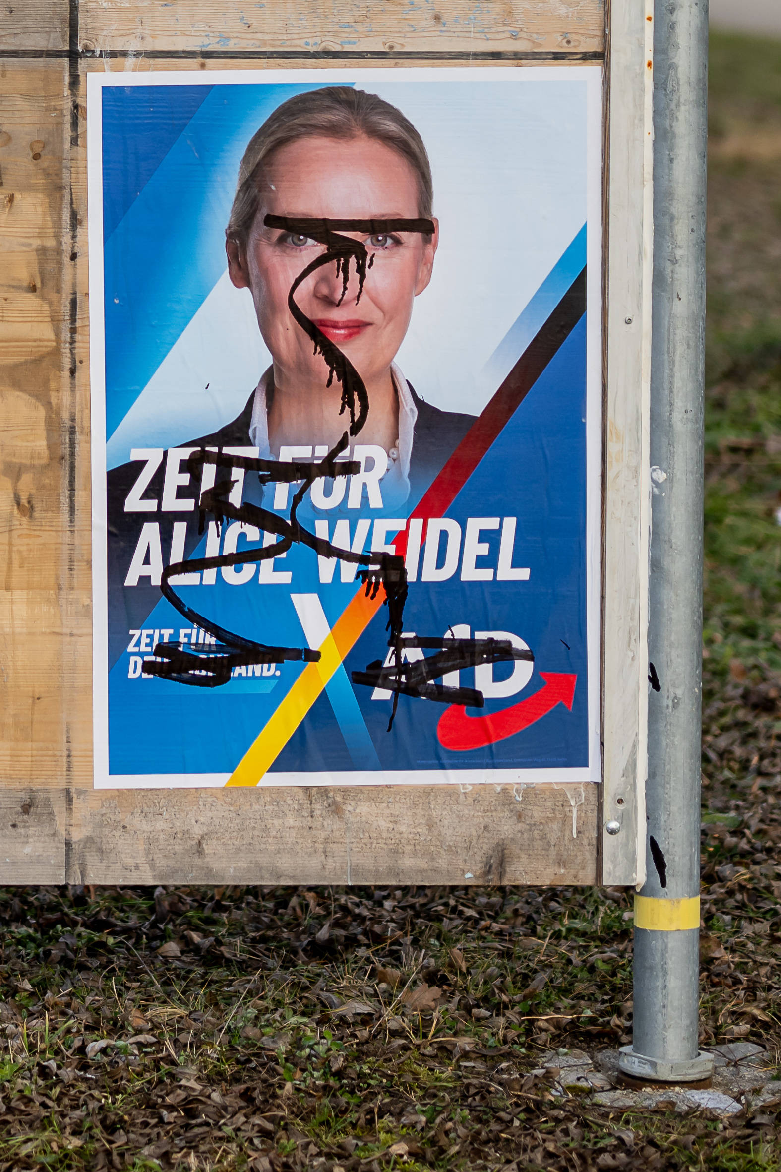 Am häufigsten wurden im Bundestagwahlkampf 2025 bisher Plakate der AfD beschädigt, gefolgt von Plakaten der CDU und der Grünen (Stand: 31.1.2025)