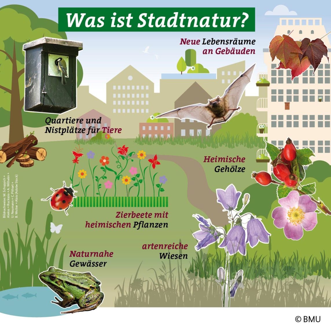 Masterplan Stadtnatur