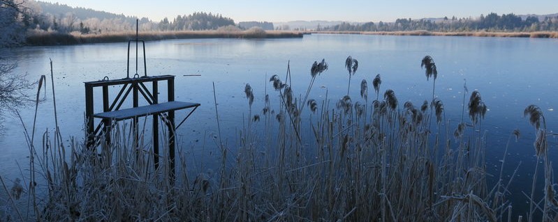 Badestellen an Seen müssen laut einem Urteil von der Kommune beaufsichtigt werden - sonst ist das Schwimmen nicht erlaubt, die Kommune in der Haftung