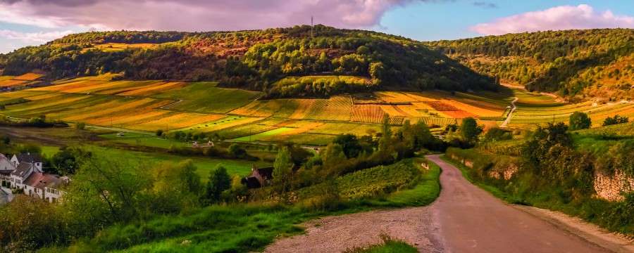 Das Dorf in der Zukunft