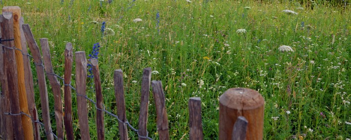 hochwertige Lebenräume