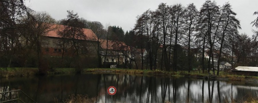 Der Dorfteich in Neukirchen - ein Warnschild sagt, dass Eltern für Ihre Kinder haften - das Gericht hält das für nicht ausreichend!