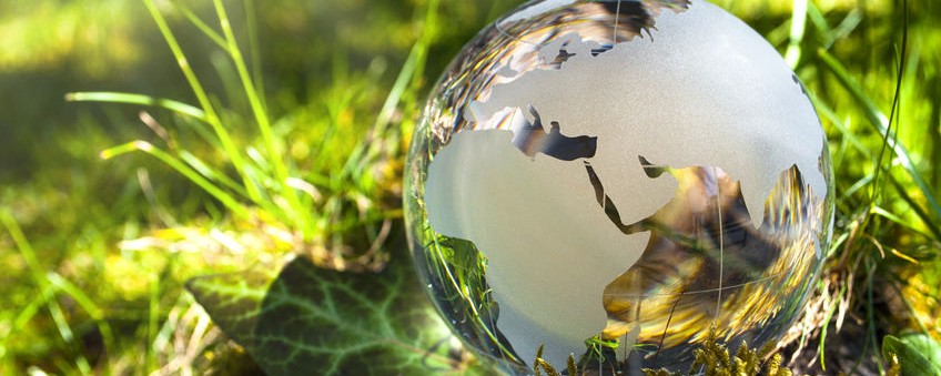Klimaschutzmanager werden in immer mehr Kommunen aktiv - doch welchen Nutzen haben sie?