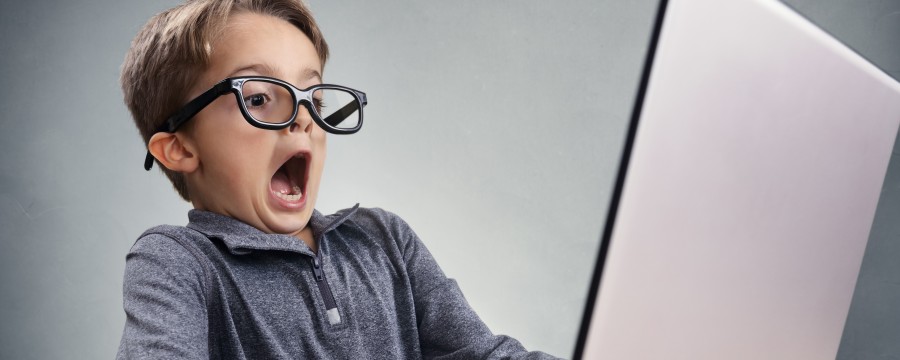 Onlinezugangsgesetz
