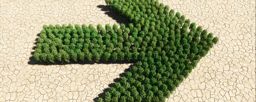 Klimawandel: Hier geht es zur Beratung