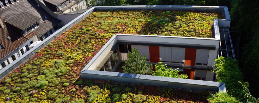 Klimaschutz