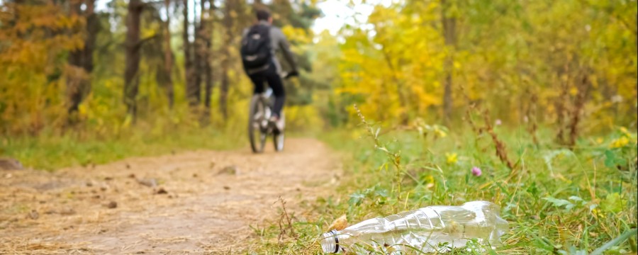 Müll im Wald
