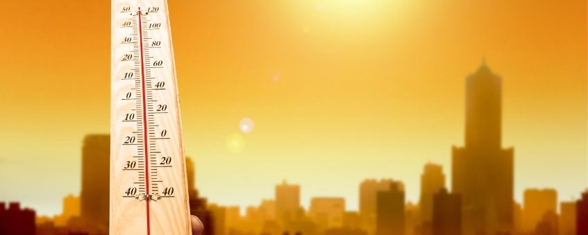 Der Klimawandel schreitet fort: Hitzerekorde auch in diesem Sommer