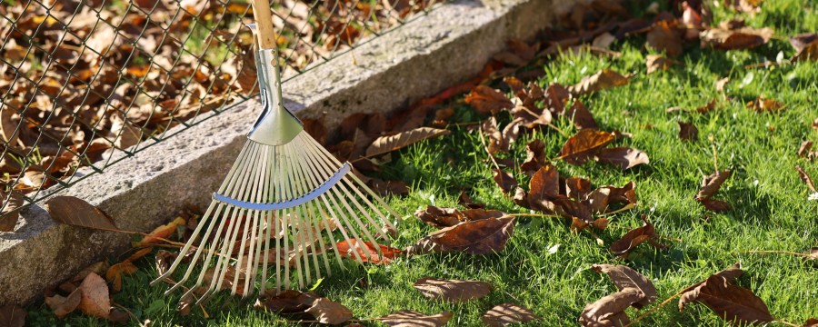 Grundstücksgrenze - oft Fall für eine Schiedsperson