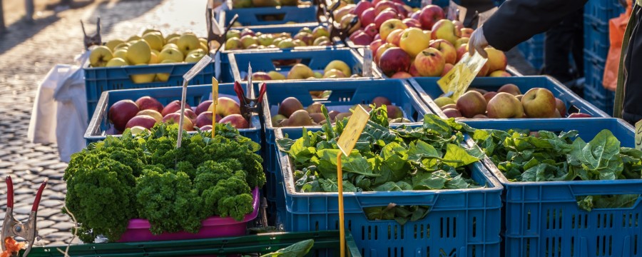 Wochenmarkt Gemüsestand