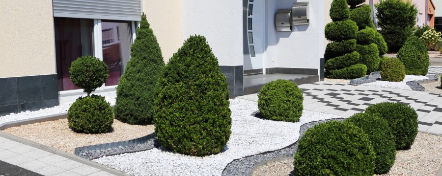 Schottergarten mit vereinzelt eingepflanztem Grün