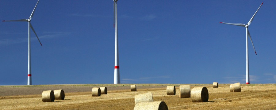 Windräder? Im Paderborner Land sind sie überall zu finden. 