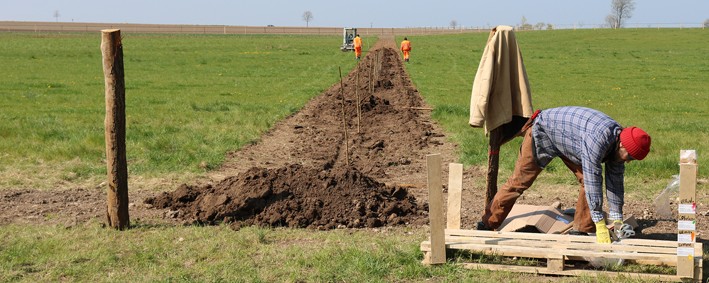 Neue Pflanzreihen werden im Landkreis angelegt