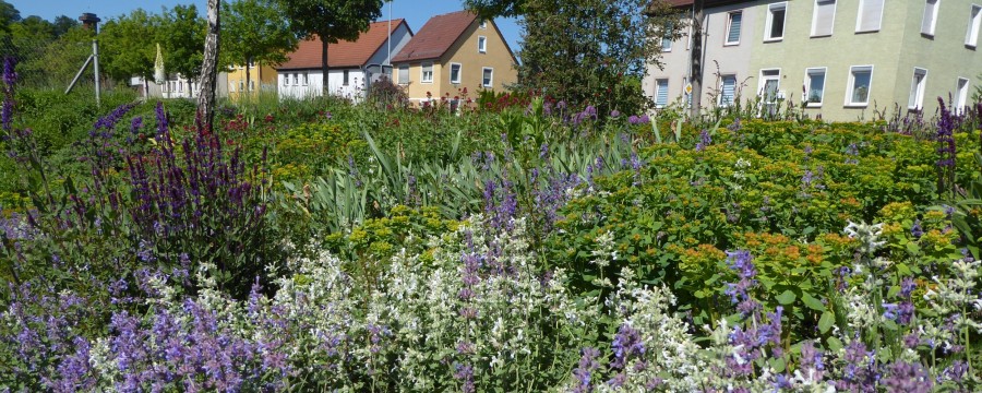 Das Rathaus in Bad Saulgau: Auch hier grünt und blüht es überall.