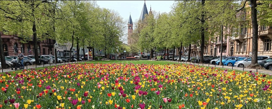 Biodiversität Artenschutz Blumen Kommune