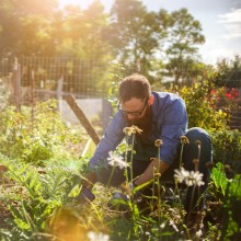masterplan stadtnatur beschlossen