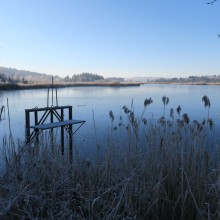 Badestellen an Seen müssen laut einem Urteil von der Kommune beaufsichtigt werden - sonst ist das Schwimmen nicht erlaubt, die Kommune in der Haftung