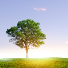 Klimaaktive Kommune Wettbewerb 