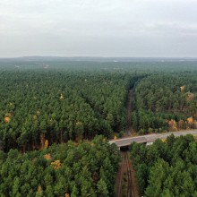 Tesla Gigafactory in Grünheide