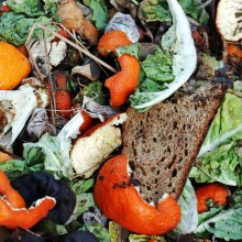 Verschiedene Start-Ups sagen Lebensmittelverschwendung den Kampf an.