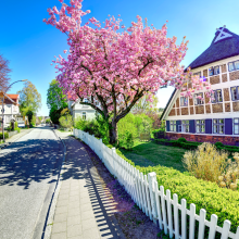 Spätestens seit der Coronakrise ist die Suburbanisierung eingeläutet - das Landleben hat Zukunft, der Wunsch nach mehr Freiraum wächst