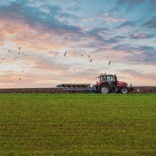 Die Landwirtschaft ist eine der tragenden Säulen unserer Wirtschaft - in diesen Städten ist sie wirtschaftlich besonders erfolgreich! 