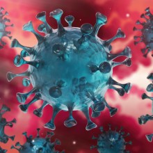 Corona-Virus