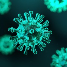 Corona-VIrus