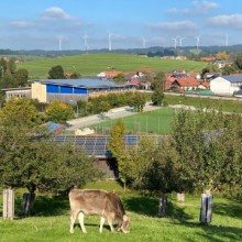 Wildpoldsried im Allgäu Energiedorf, Kühe, Windräder 