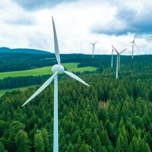 Windräder im Wald