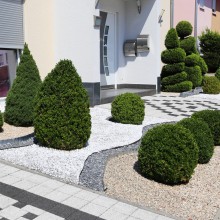 Schottergarten mit vereinzelt eingepflanztem Grün
