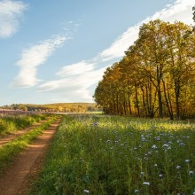 Landschaft