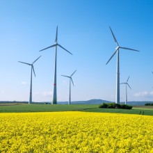 Windräder sorgen für wirtschaftlichen Aufschwung IW-Regionalranking 2024